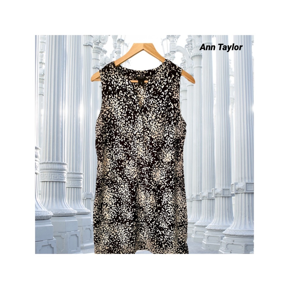 Ann Taylor dress 💄💋